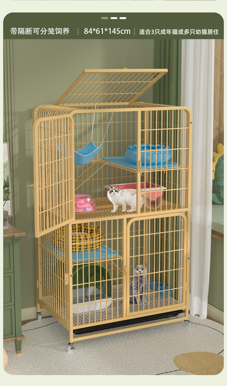 43203455-bc70-4c74-bfee-ed56c2e757c7.jpe