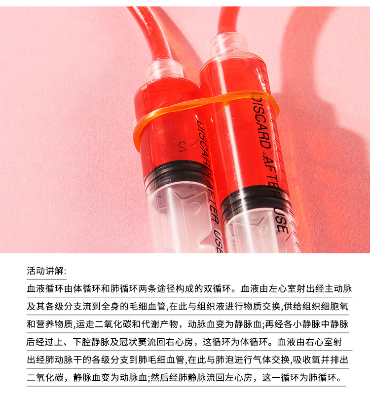 血液循环阿里_07