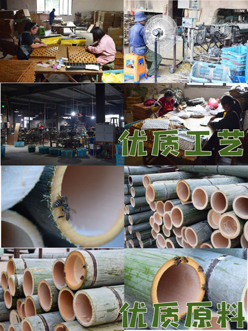 毛竹.jpg