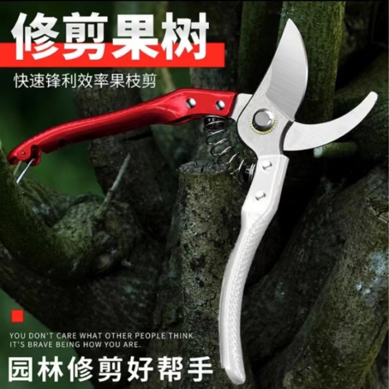 2024-05-26 19:54:33.jpg