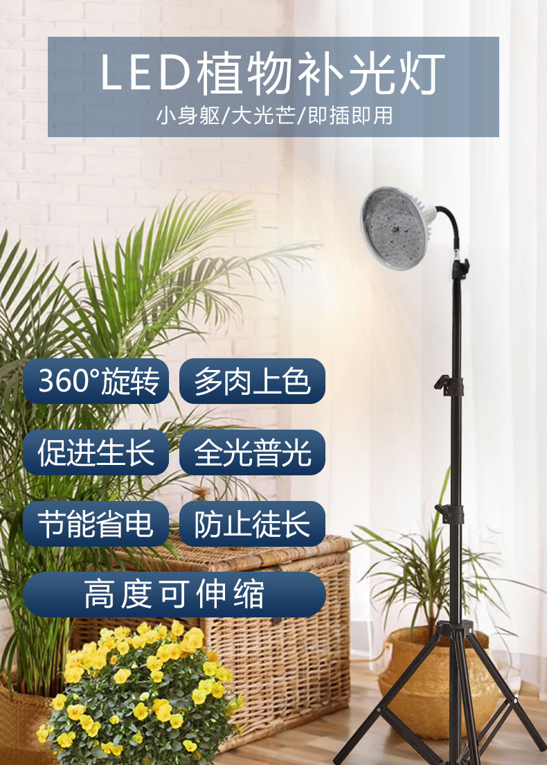 28d9a713-7193-4faa-8807-7c75f8e20c72.jpe