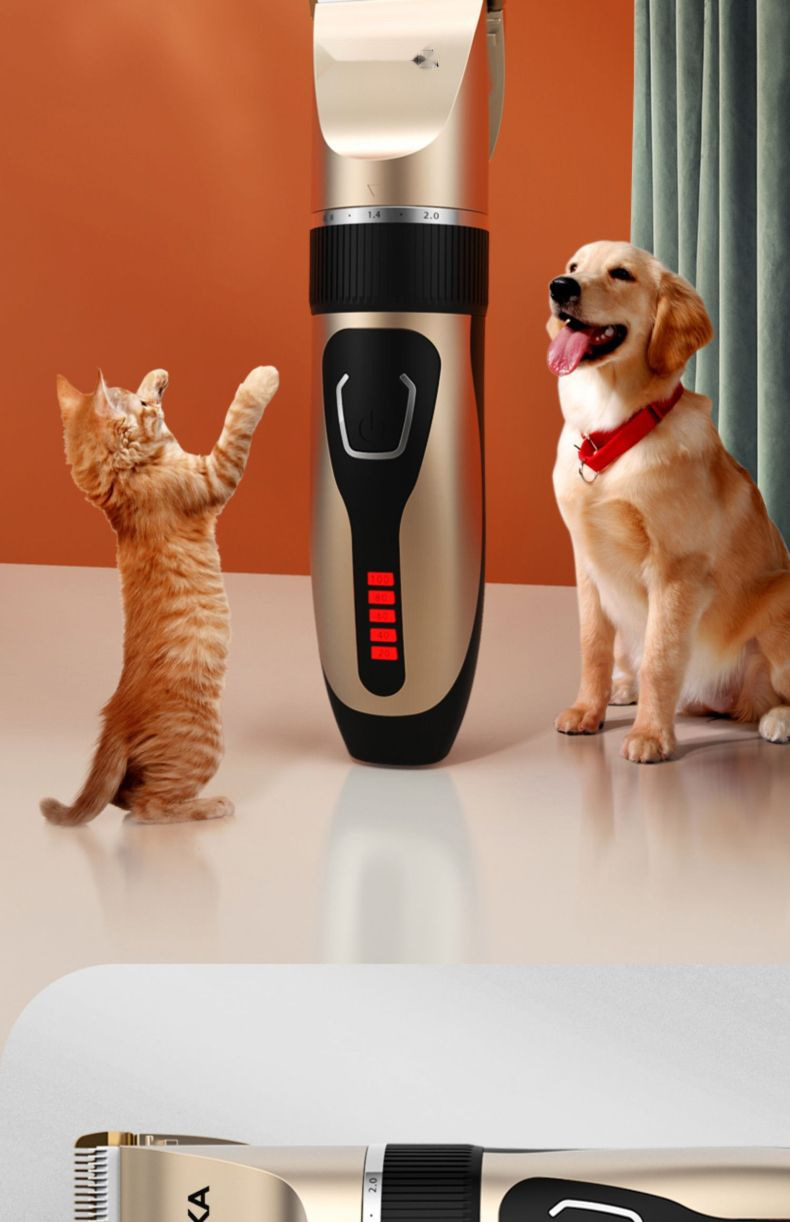 bbca5993-d2d7-4d3e-b6a6-9bdfa8c514c5.jpe