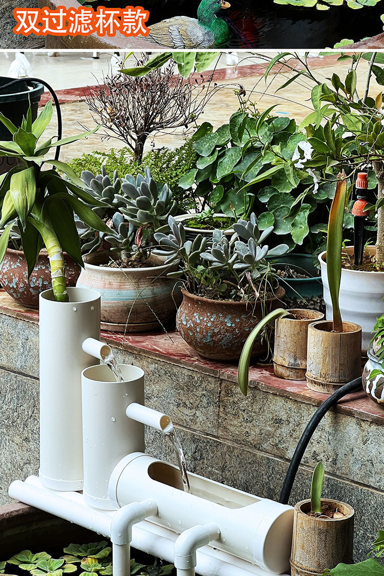 48db78bc-9955-4499-8a8d-a238312dc5a3.jpe