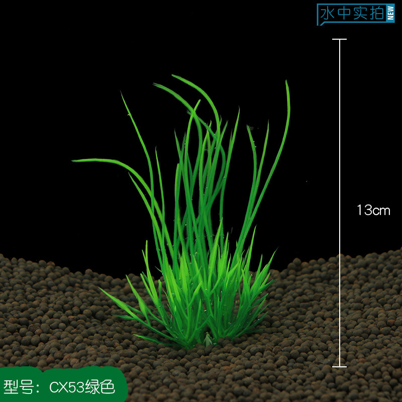 CX53绿色