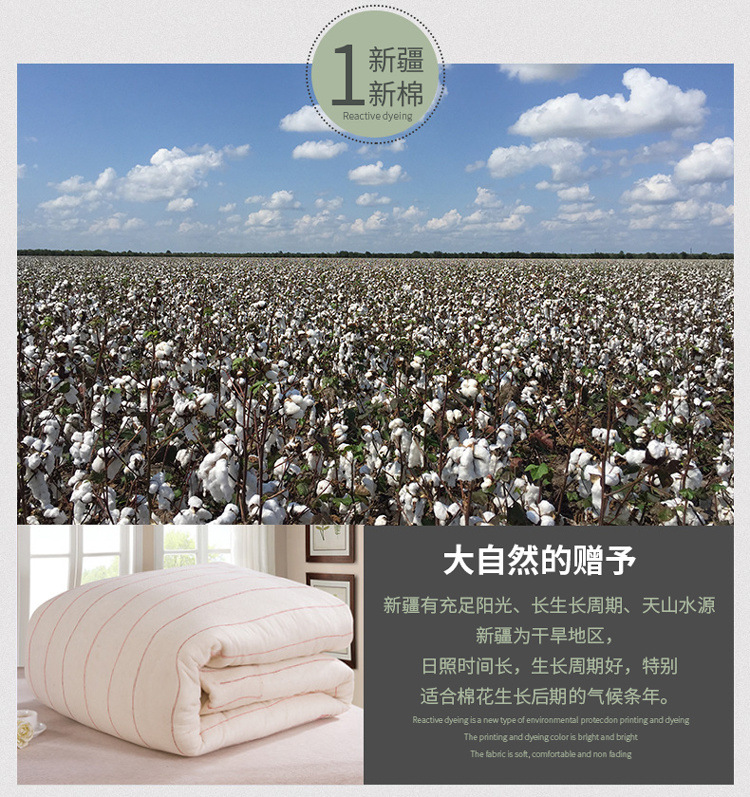 679d8099-c2bc-41ca-bbfb-b179395f1641.jpe