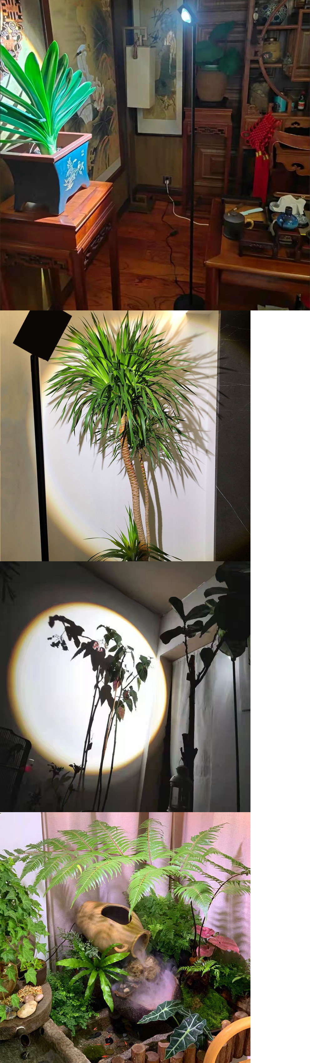 bbfe6475-bfff-42d2-a235-7dd0598952e8.jpe