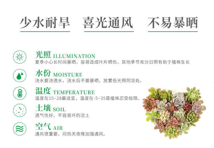 1584a82d-363d-4849-8c09-1ea81a27100e.jpe