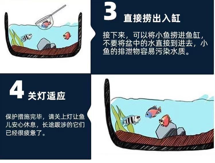 cc264895-31cd-4b8d-90f3-ba98a4d39843.jpe