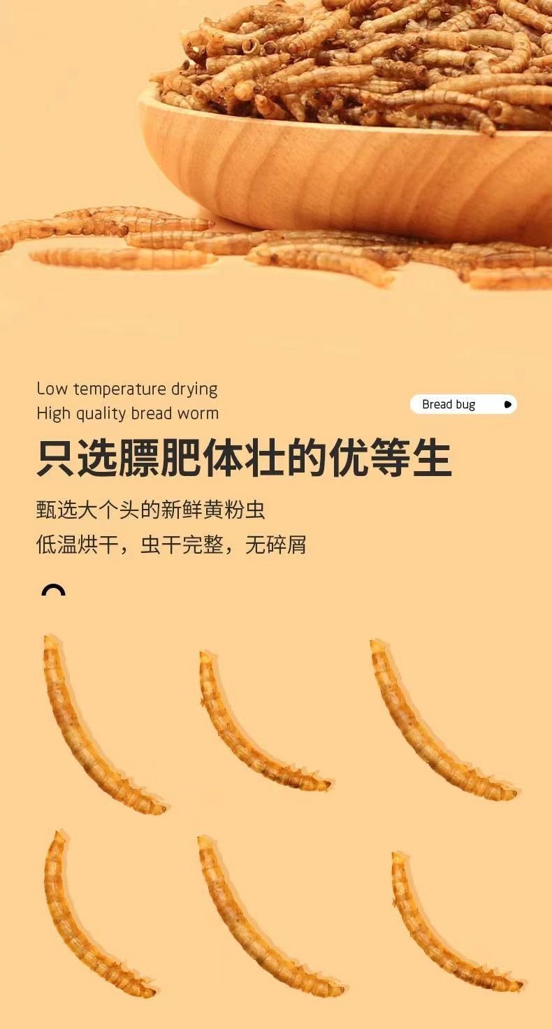 80c58838-2102-42c6-854a-62ac1fb5c30d.jpe