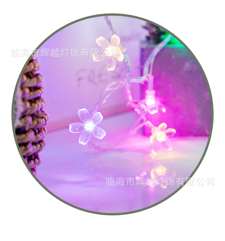 15-LED小樱花灯串_07.jpg