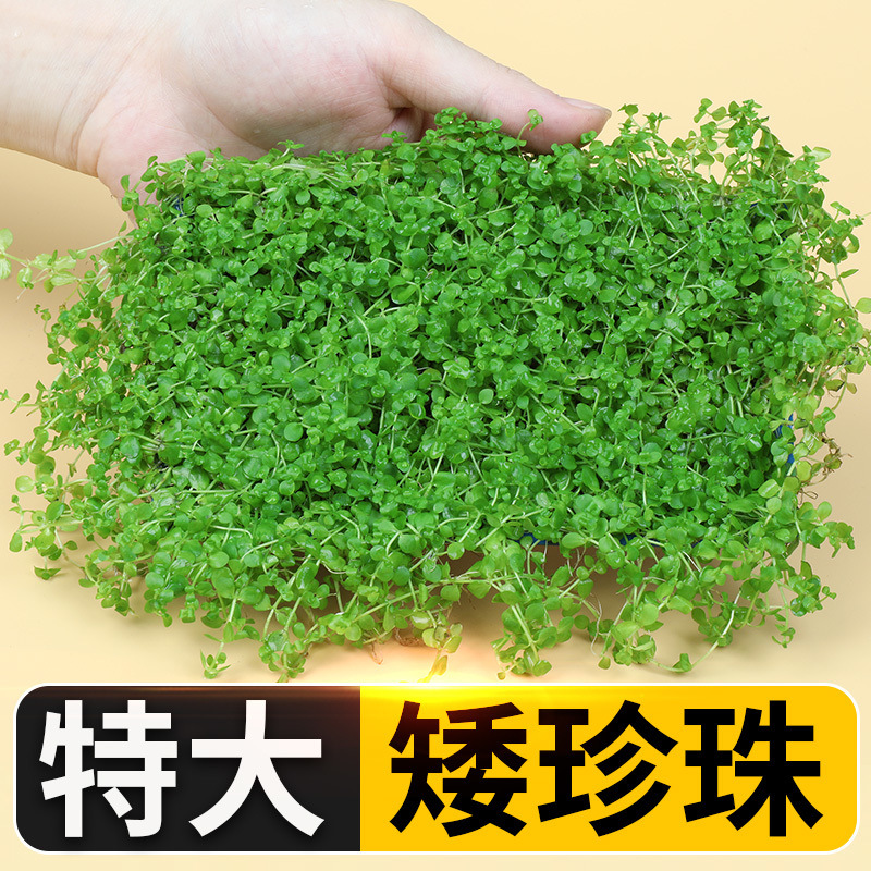 764d2d8a-e89f-42d0-863c-9ccf661cb0c4.jpe