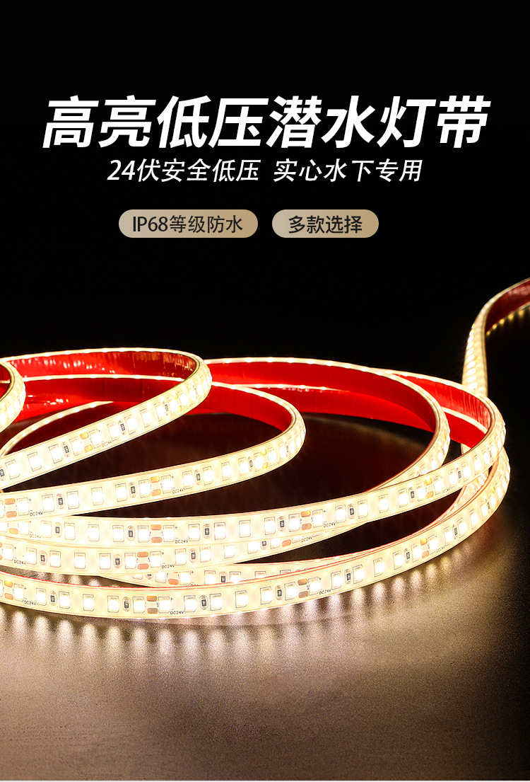 1.高亮低压潜水灯带.jpg