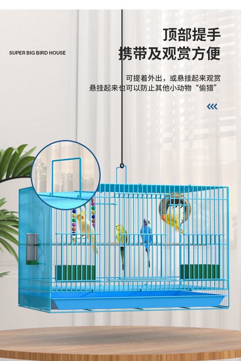 d35baa0f-862e-4874-a25d-2d22b14fc154.jpe