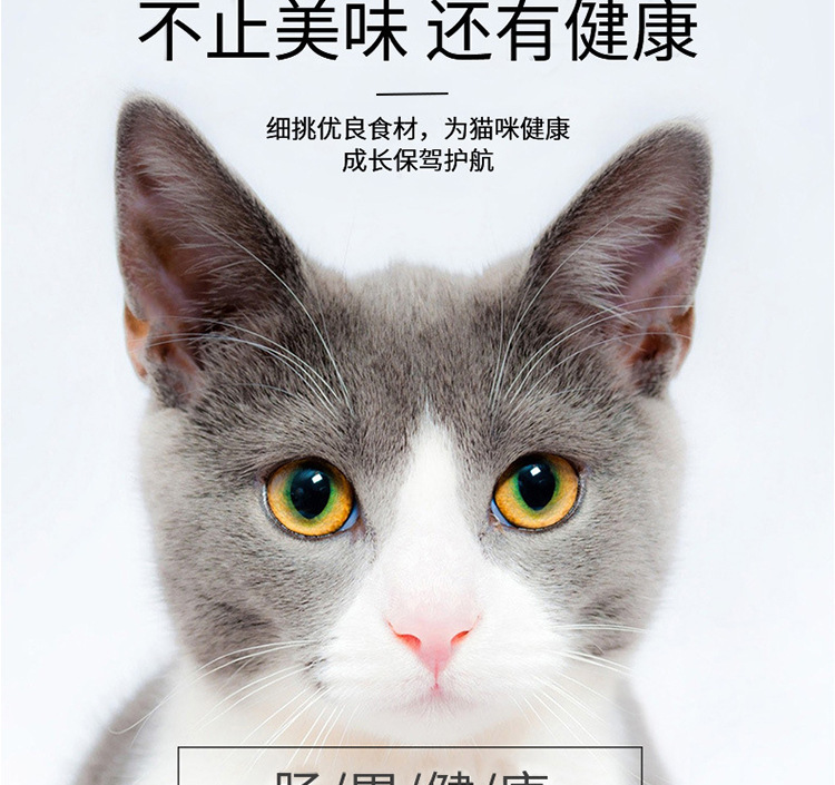 猫薄荷球_05.jpg