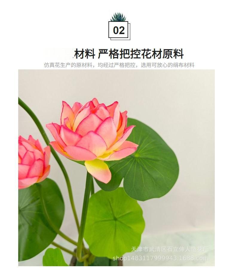 O1CN01rh7xkH1d31t7XICWn_!!3077