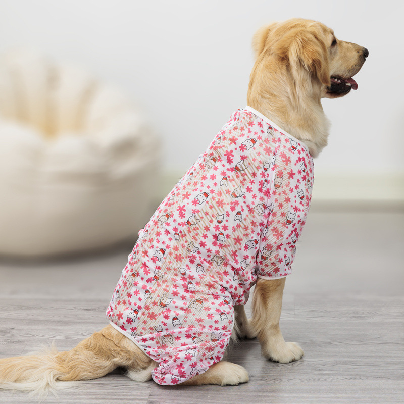 4375a75d-44cf-4c93-8c50-2ddb827df4de.jpe