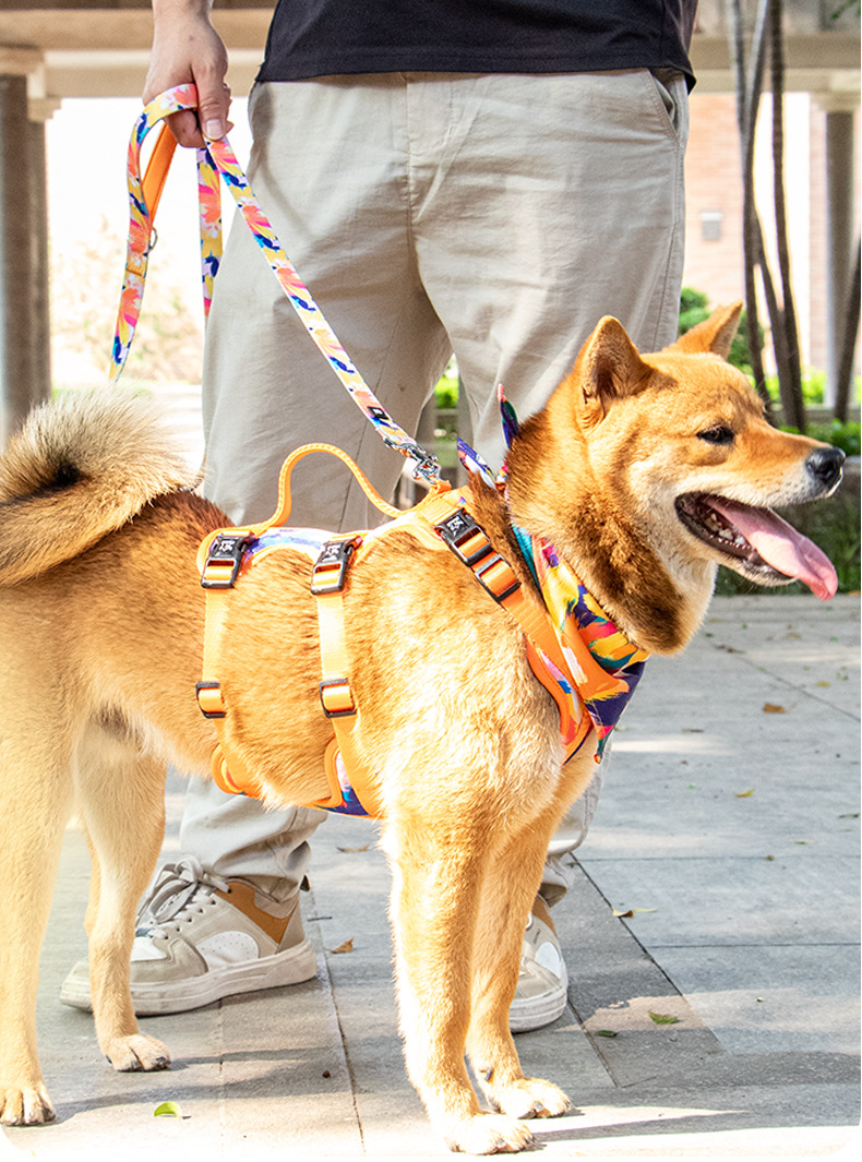 通用款-牵引绳-中文详情页_02