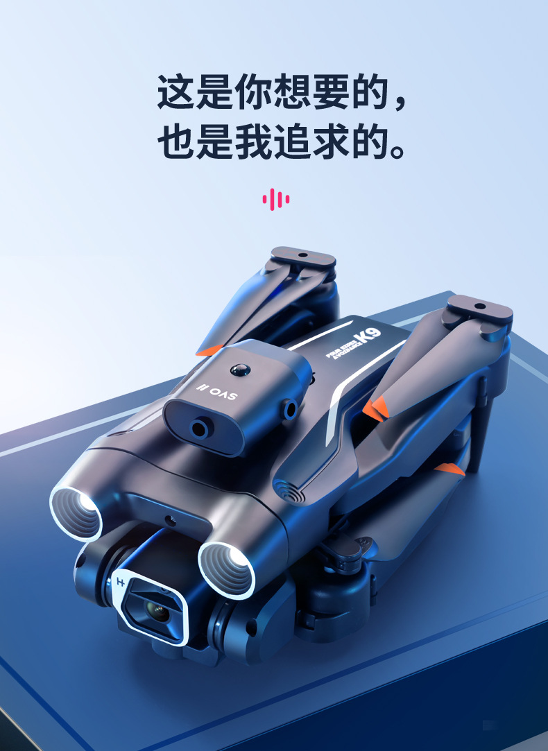 K9_08.jpg