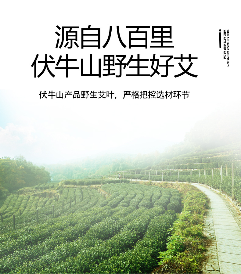 草稿2_04.jpg
