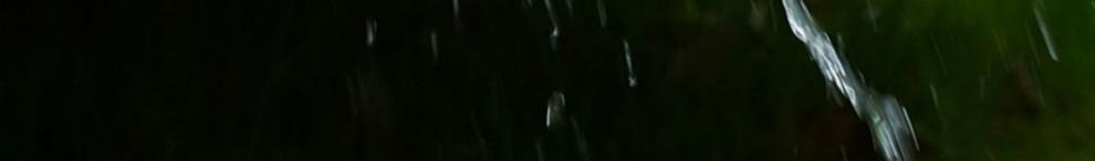 8964f0ada1081178f2e112f06ecae12a.jpeg