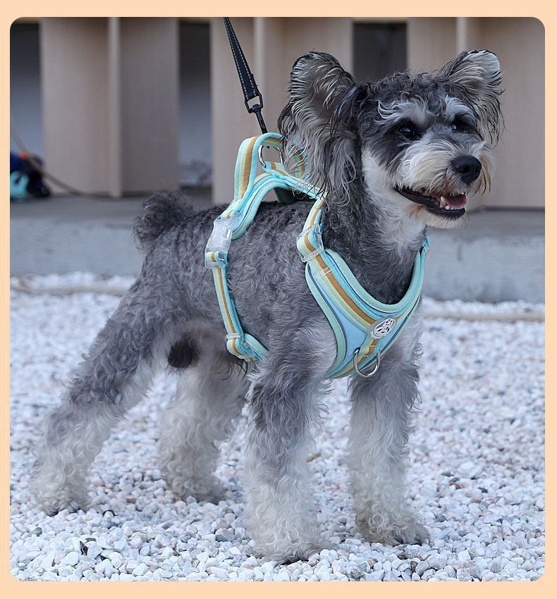 ea968b6b-8e5c-4994-be65-7ab13d491c77.jpe