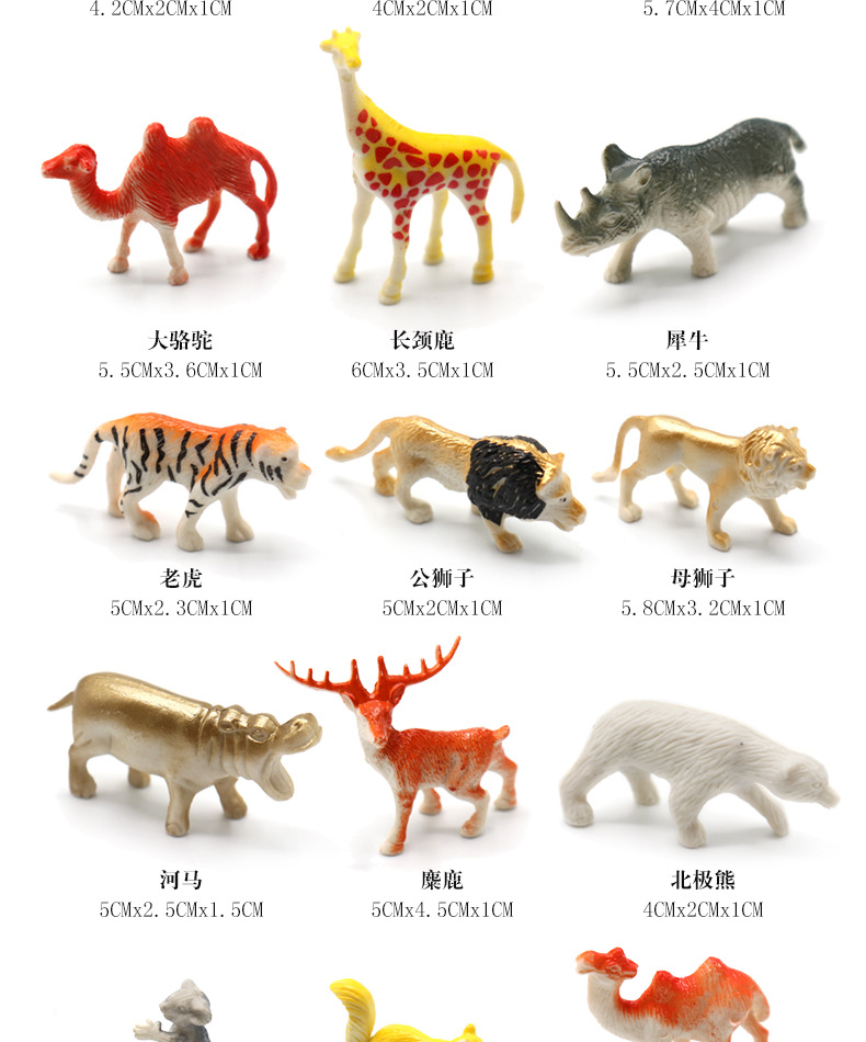 动物世界_07.jpg