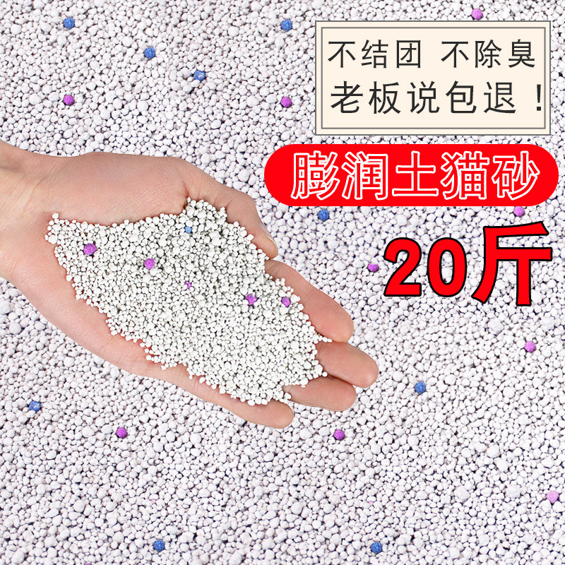 dcd310c0-8613-4651-a96d-f952a205b078.jpg