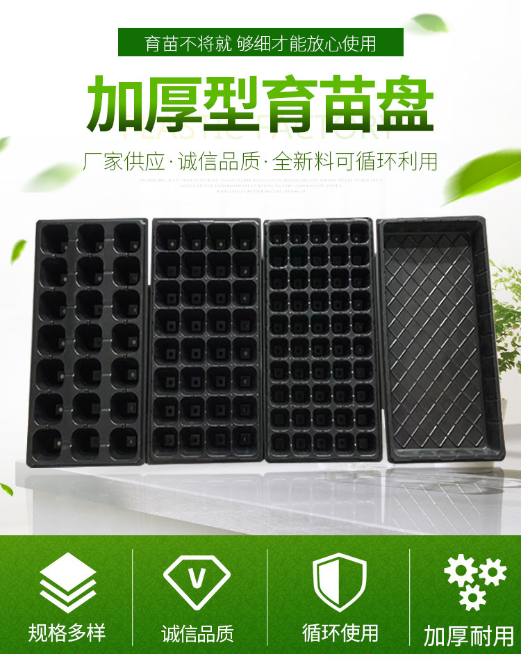 套办详情页大图