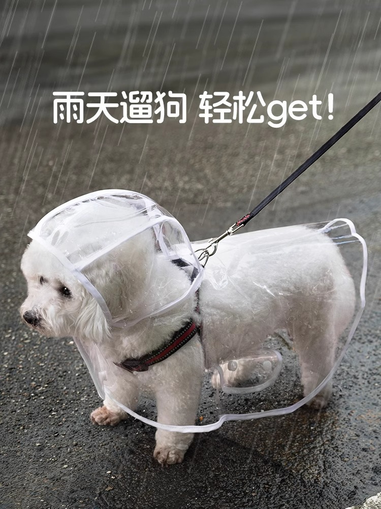 d956292e-9f58-4453-a58e-cdde02c77055.jpe