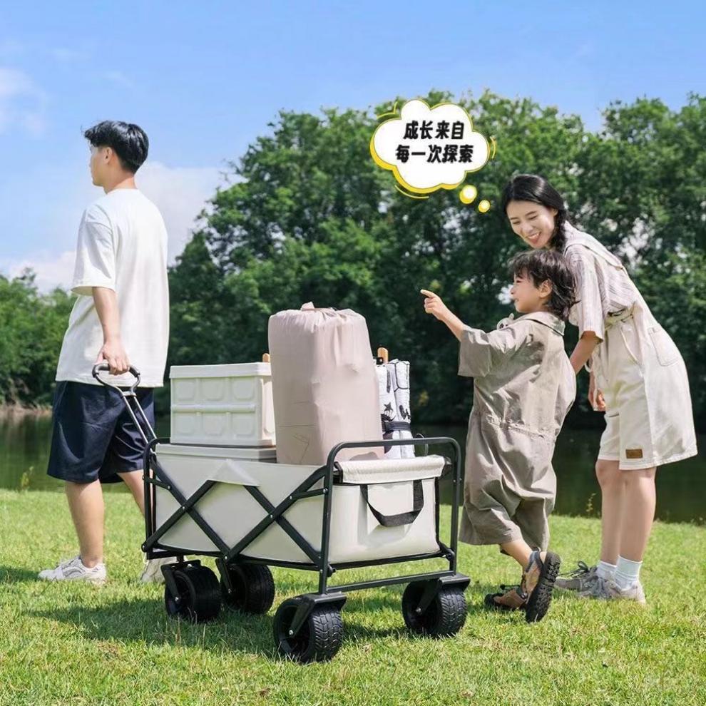 75aa8472-71ec-4dc4-ad0c-b700bbf99255.jpe