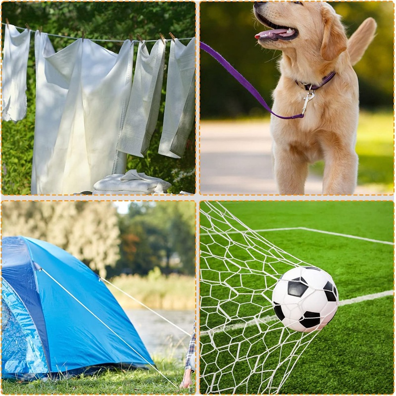 816eDyUaMtL._AC_SL1500_