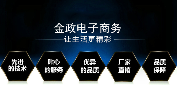 金政电子商务.jpg