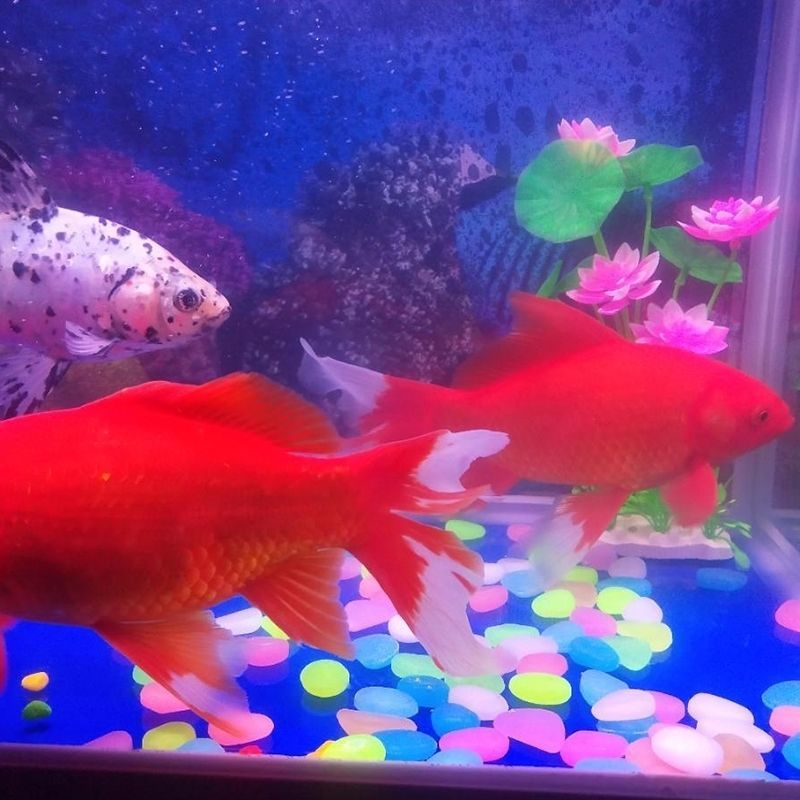 852d1ec2-304a-441f-8569-8ffb337e2e0e.jpe