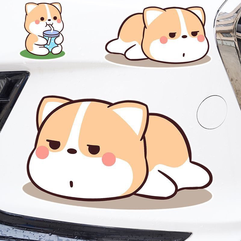 53f742bf-8f86-42e1-a01a-b570c35ab44d.jpe