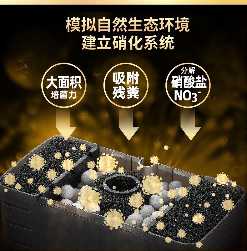 15d349d8-fe46-481a-b487-d6176625b87b.jpe