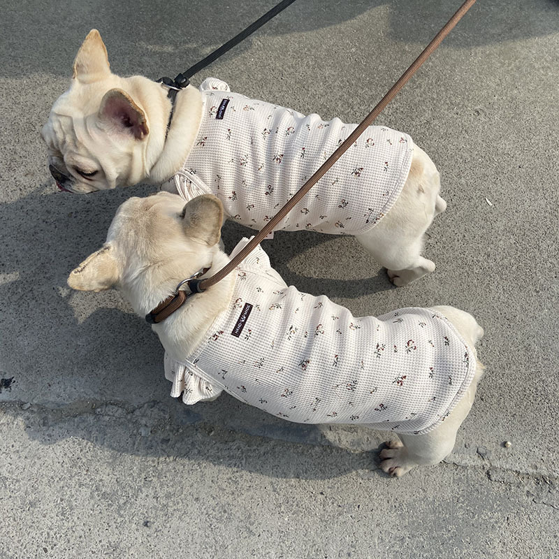 微信图片_20230422163055