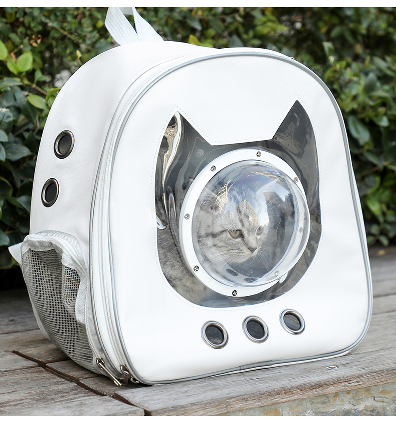 d1aa653d-8db5-4cf7-b926-eebf659c01c7.jpe