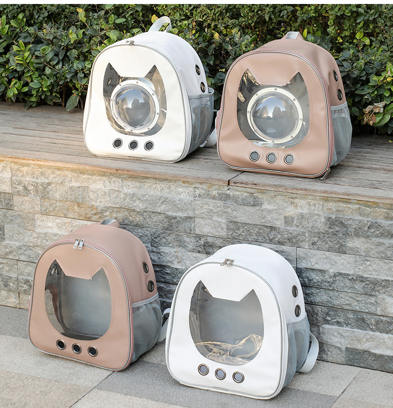 21fe073b-dc64-48b9-b7d8-e44c53fe5bb6.jpe