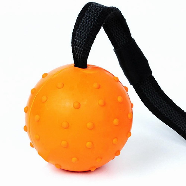 51fNrq-bZeL._SL1001_