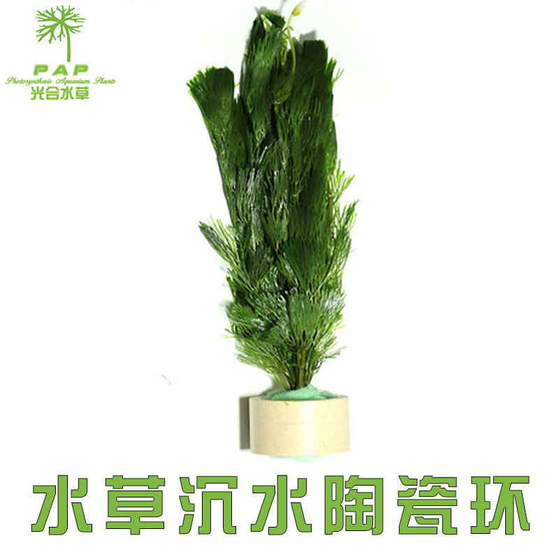 陶瓷环主图5