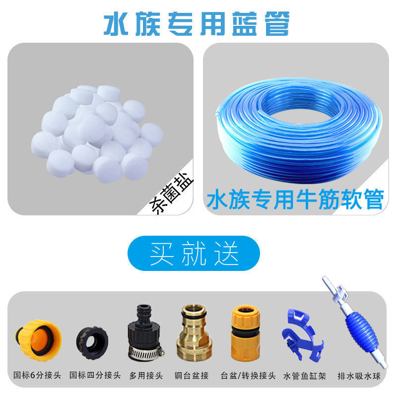 d1175932-6dd5-4725-ba65-dd043266a2e3.jpe