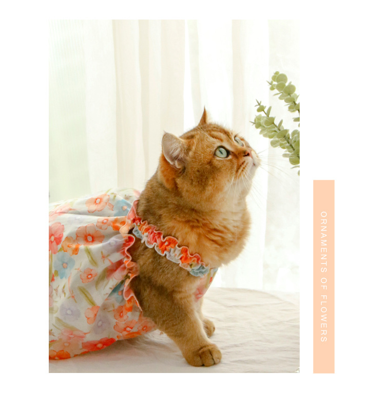 油彩花吊带裙详情_08