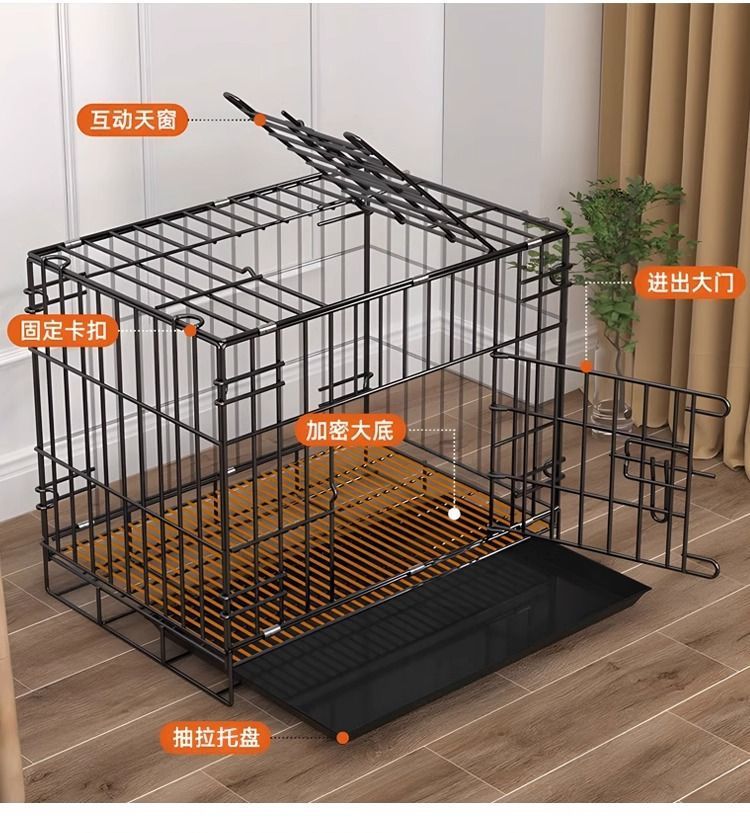 eb3223ab-4bc9-4aa4-9a25-84d2f85fa1b3.jpe