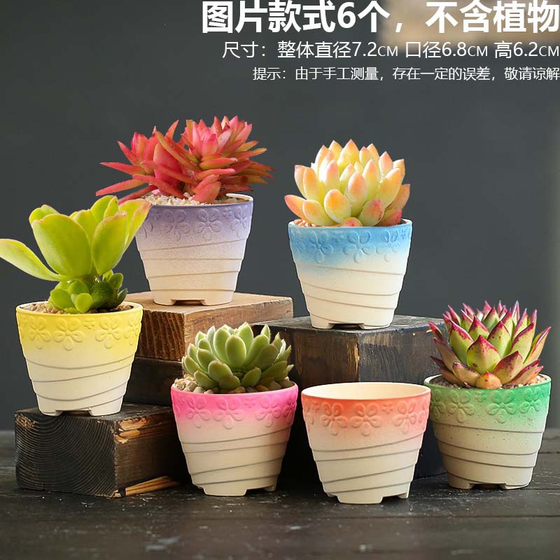 JB手绘彩虹花6个8.8