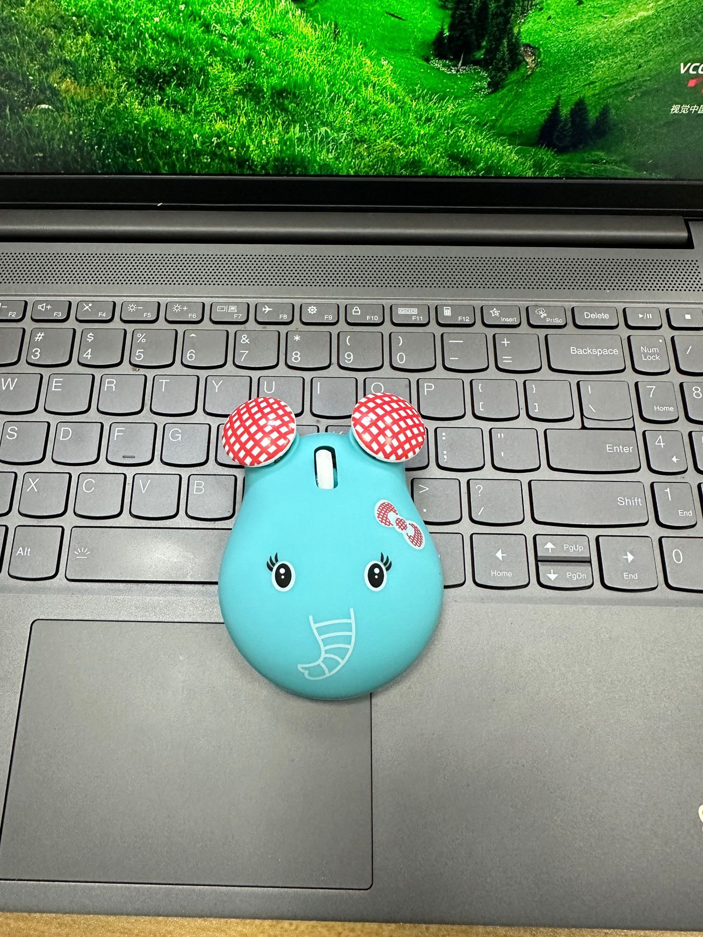 微信图片_20231222105330.jpg?x-oss-process=image/format,png