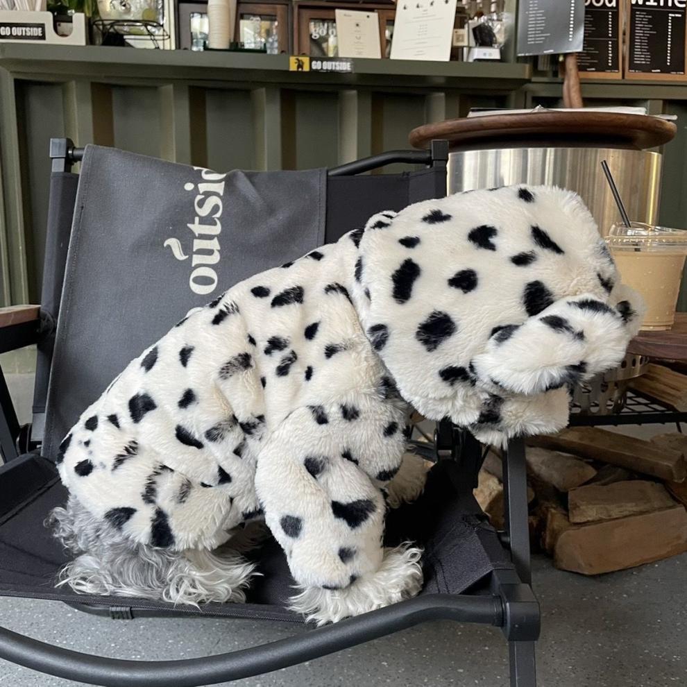 4061fe15-046e-4276-b4bd-bf21c0d4587d.jpe