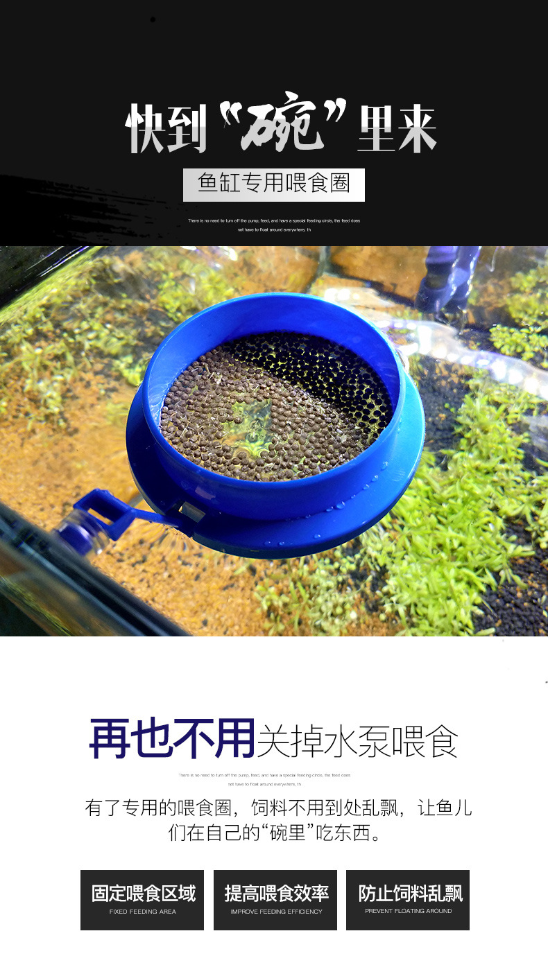 喂食圈详情修改---副本_01