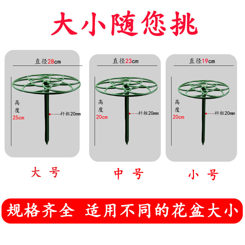 主2