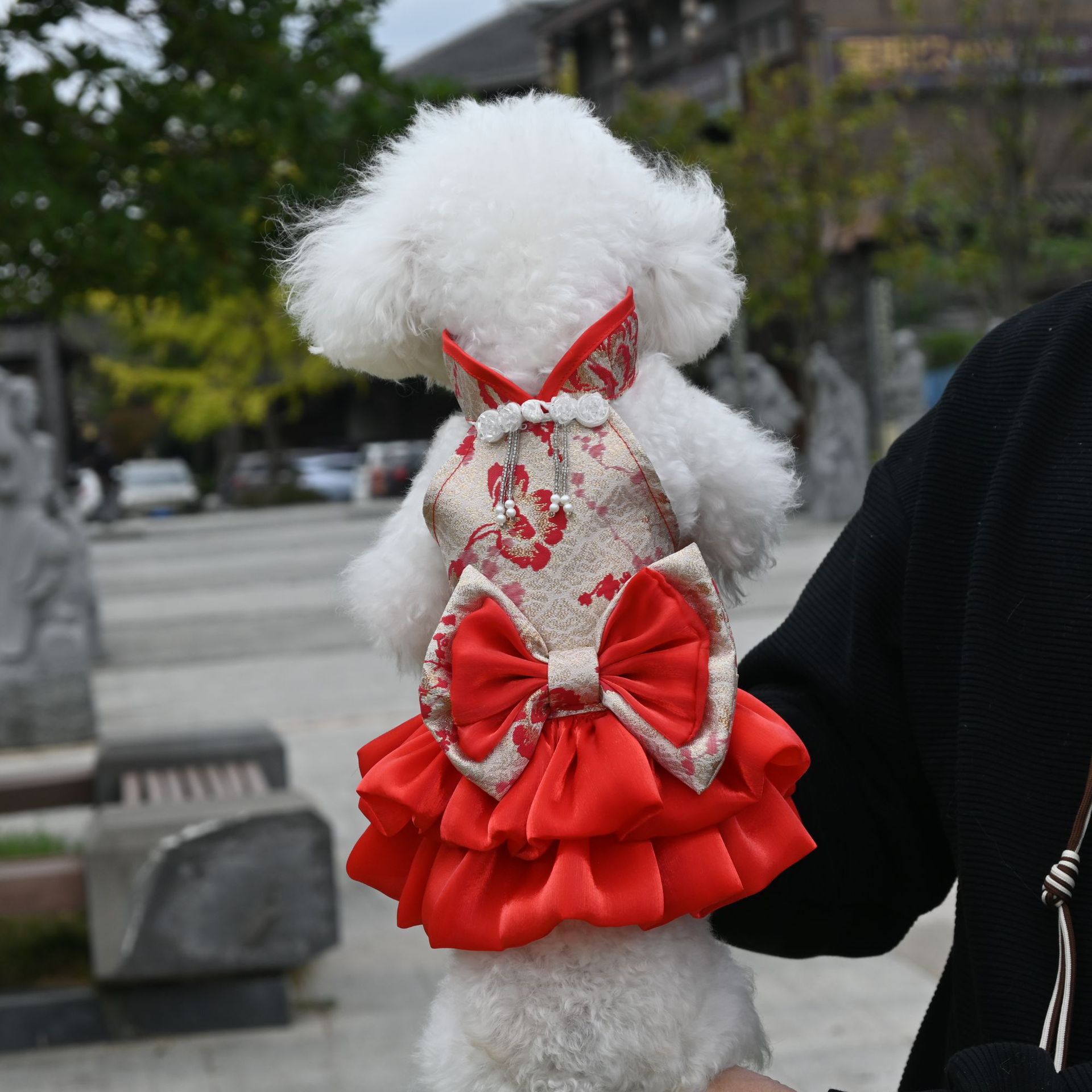 DSC_1042.JPG