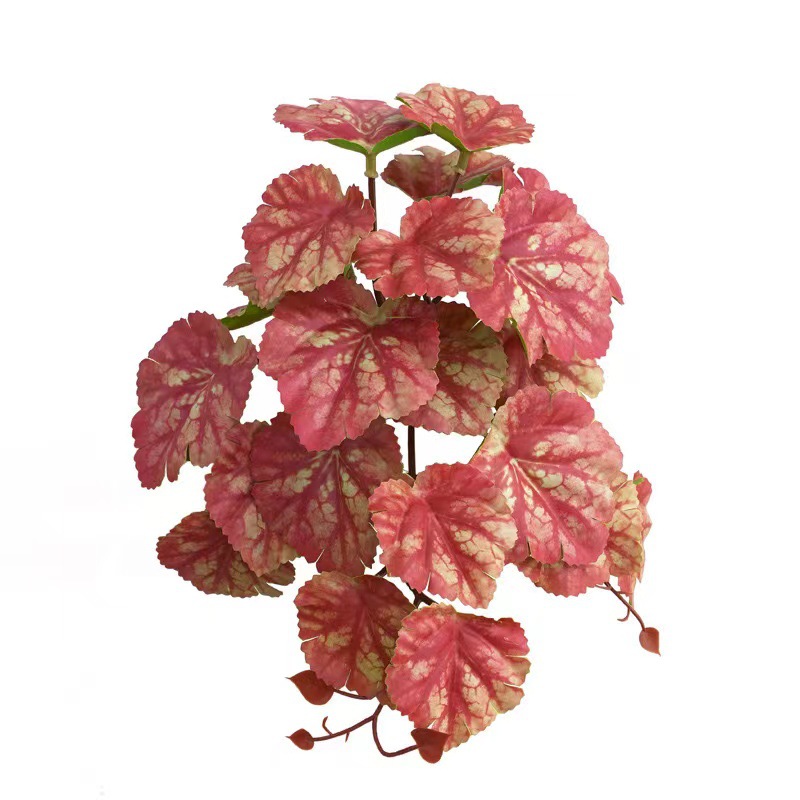 微信图片_20240224143813